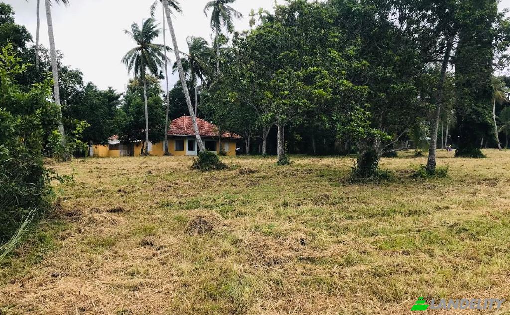 Land Lot for Sale Werella wattha Estate, Molawatta Rd, Kimbulapitiya, Gampaha, Western Province, Sri Lanka. Photo 2