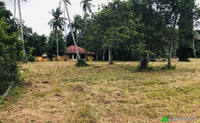 Land Lot for Sale Werella wattha Estate. Photo#2