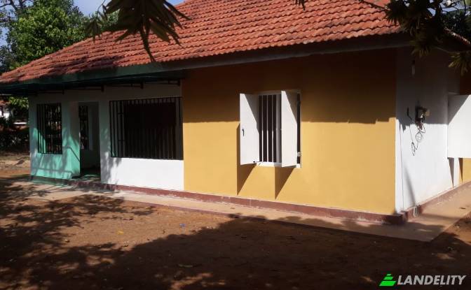 Land Lot for Sale Werella wattha Estate. Photo#3