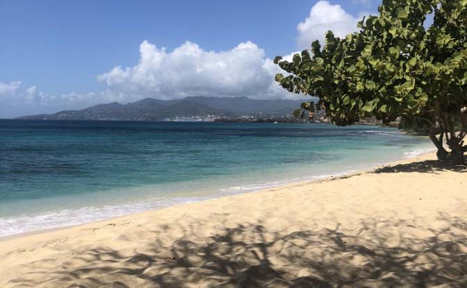 Apartment Rentals - Calliste, Grenada