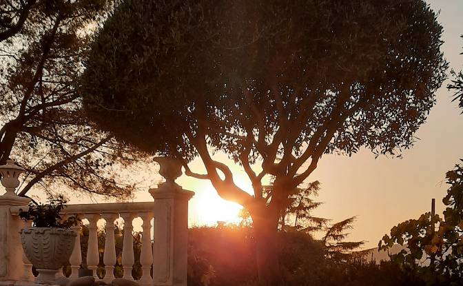 Villa for Sale 11 M Chem des Pins. Photo#24