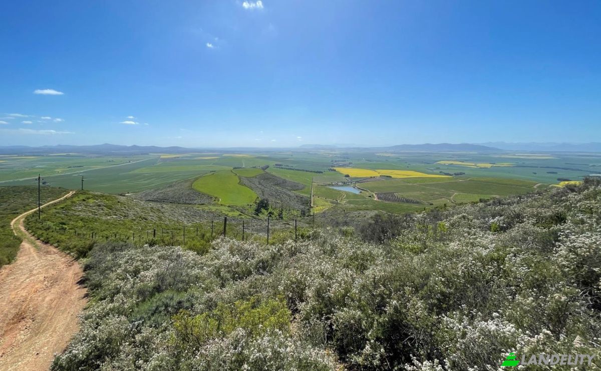 Land Lot for Sale Cape Farms, Cape Town, City of Cape Town Metropolitan Municipality, Western Cape, South Africa. Photo 5