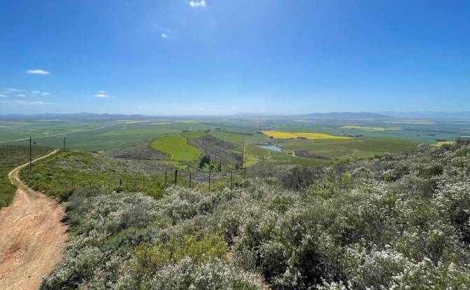 Land Lot for Sale Cape Farms, Cape Town. Photo#5 Land Lot for Sale Cape Farms, Cape Town. Photo#5