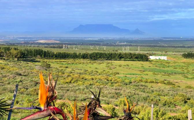 Land Lot for Sale Cape Farms, Cape Town. Photo#6 Land Lot for Sale Cape Farms, Cape Town. Photo#6