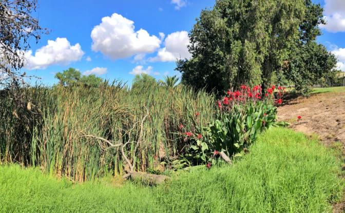 Land Lot for Sale - Cape Town, South Africa