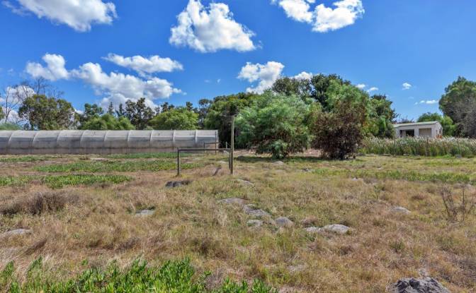 Land Lot for Sale Cape Farms, Cape Town. Photo#8 Land Lot for Sale Cape Farms, Cape Town. Photo#8