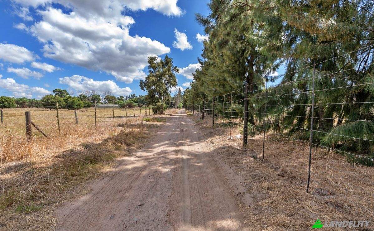 Land Lot for Sale Cape Farms, Cape Town, City of Cape Town Metropolitan Municipality, Western Cape, South Africa. Photo 9