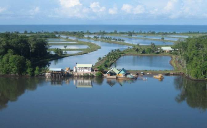 Land Lot for Sale Puerto Vidal. Photo#5 Land Lot for Sale Puerto Vidal. Photo#5