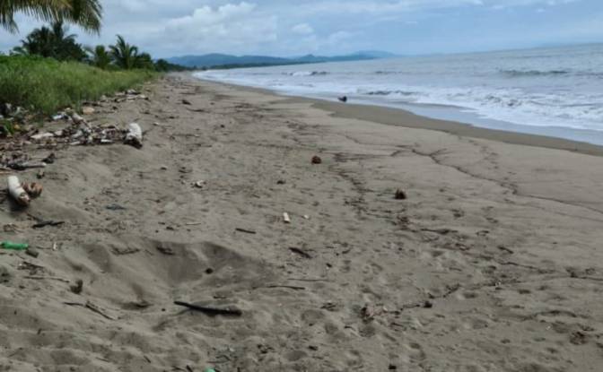 Land Lot for Sale Puerto Vidal. Photo#6 Land Lot for Sale Puerto Vidal. Photo#6