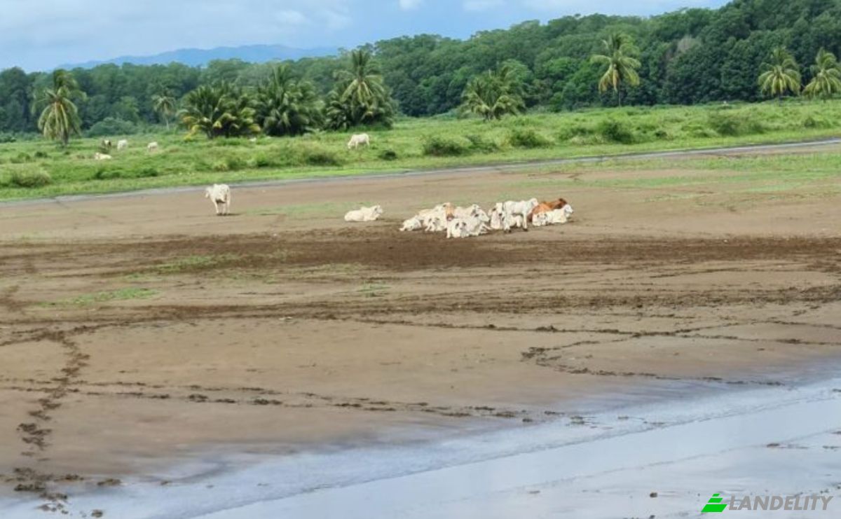 Land Lot for Sale Puerto Vidal, Las Palmas District, Veraguas Province, Panama. Photo 7