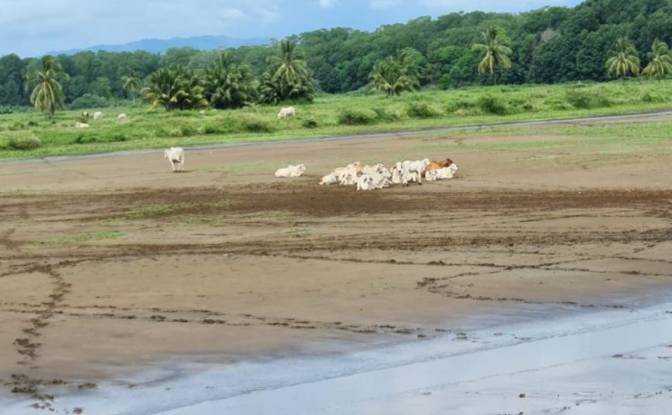 Land Lot for Sale Puerto Vidal. Photo#7 Land Lot for Sale Puerto Vidal. Photo#7