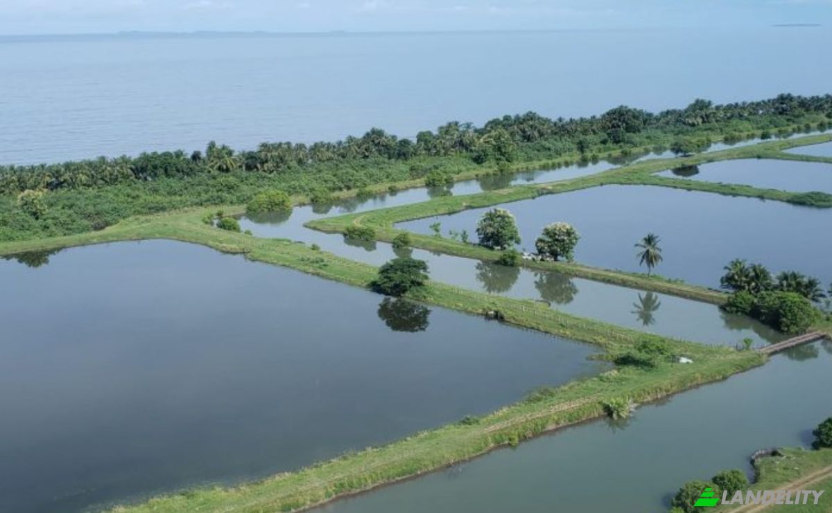 Land Lot for Sale Puerto Vidal, Las Palmas District, Veraguas Province, Panama. Photo 8