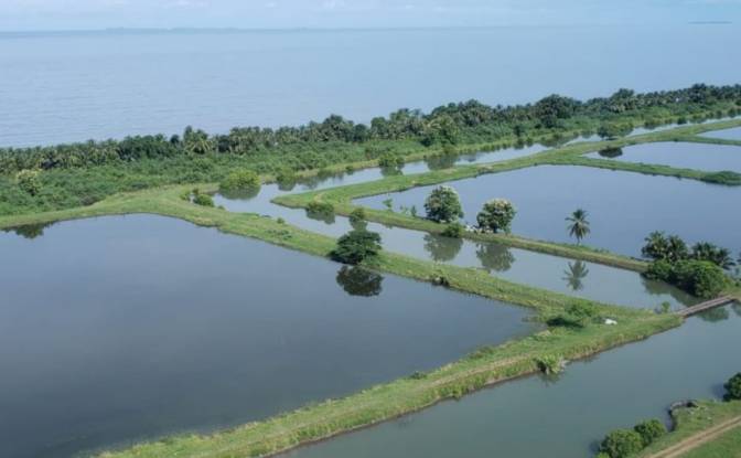 Land Lot for Sale Puerto Vidal. Photo#8 Land Lot for Sale Puerto Vidal. Photo#8