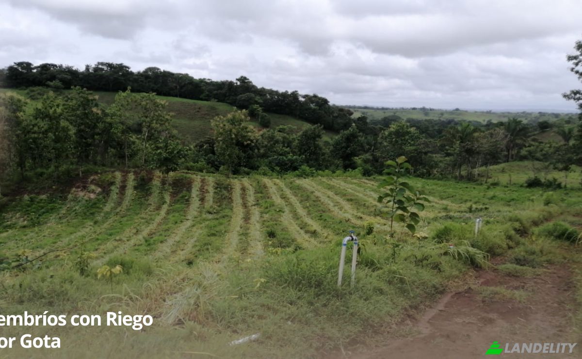 Land Lot for Sale Arenosa, La Chorrera District, Panama Oeste Province, Panama. Photo 8