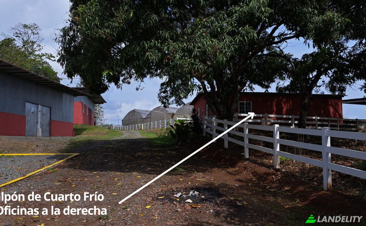 Land Lot for Sale Arenosa, La Chorrera District, Panama Oeste Province, Panama. Photo 12