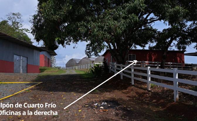 Land Lot for Sale Arenosa, La Chorrera District. Photo#12