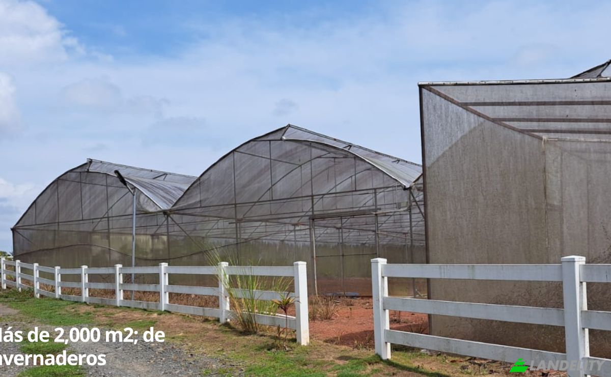 Land Lot for Sale Arenosa, La Chorrera District, Panama Oeste Province, Panama. Photo 15