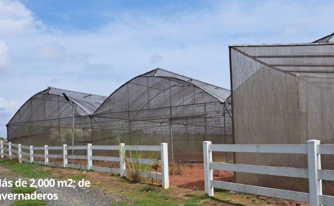 Land Lot for Sale Arenosa, La Chorrera District. Photo#15