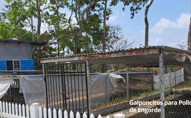 Land Lot for Sale Arenosa, La Chorrera District. Photo#16