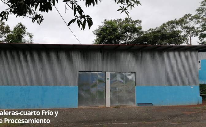 Land Lot for Sale Arenosa, La Chorrera District. Photo#4