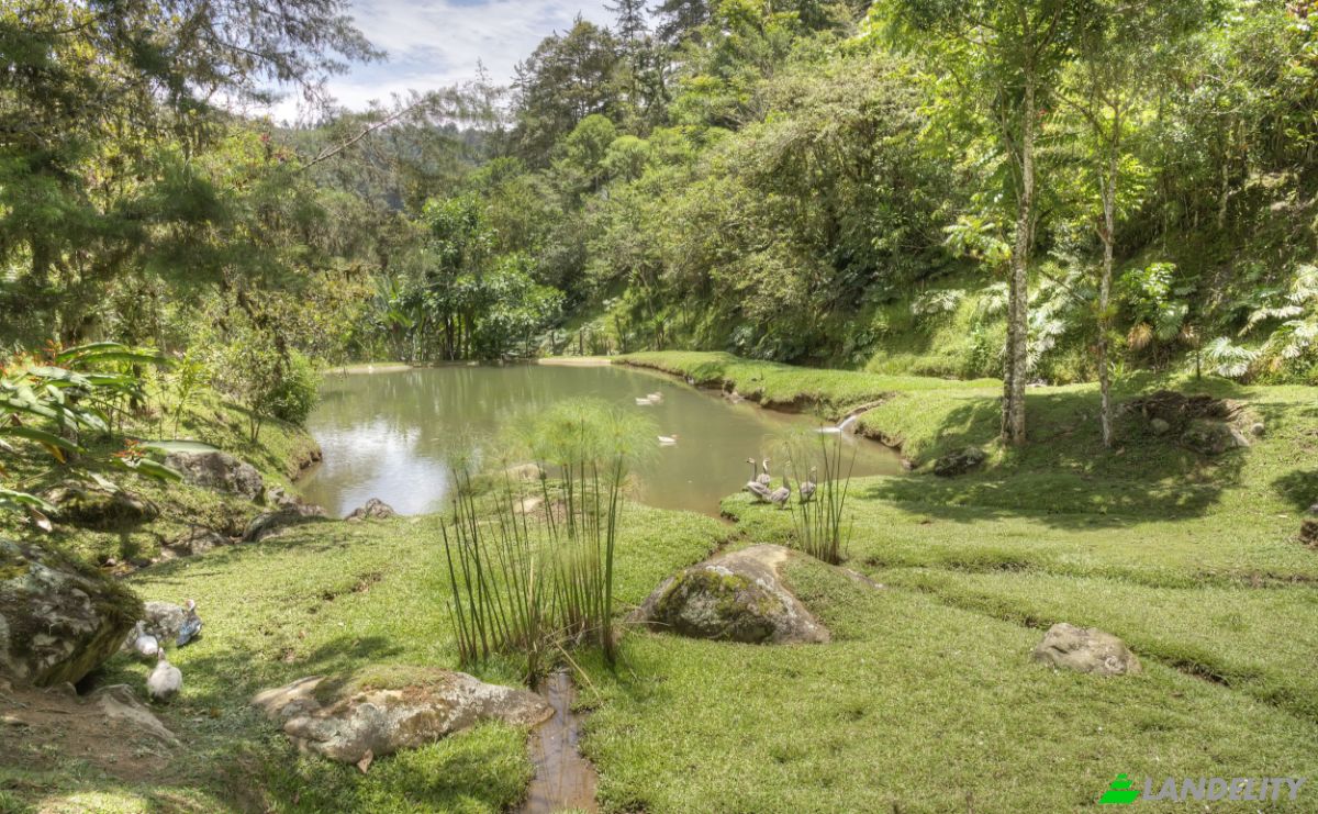 Single Family Home for Sale Provincia de Cartago, Cartago, Cartago Province, Costa Rica, Muneco. Photo 20