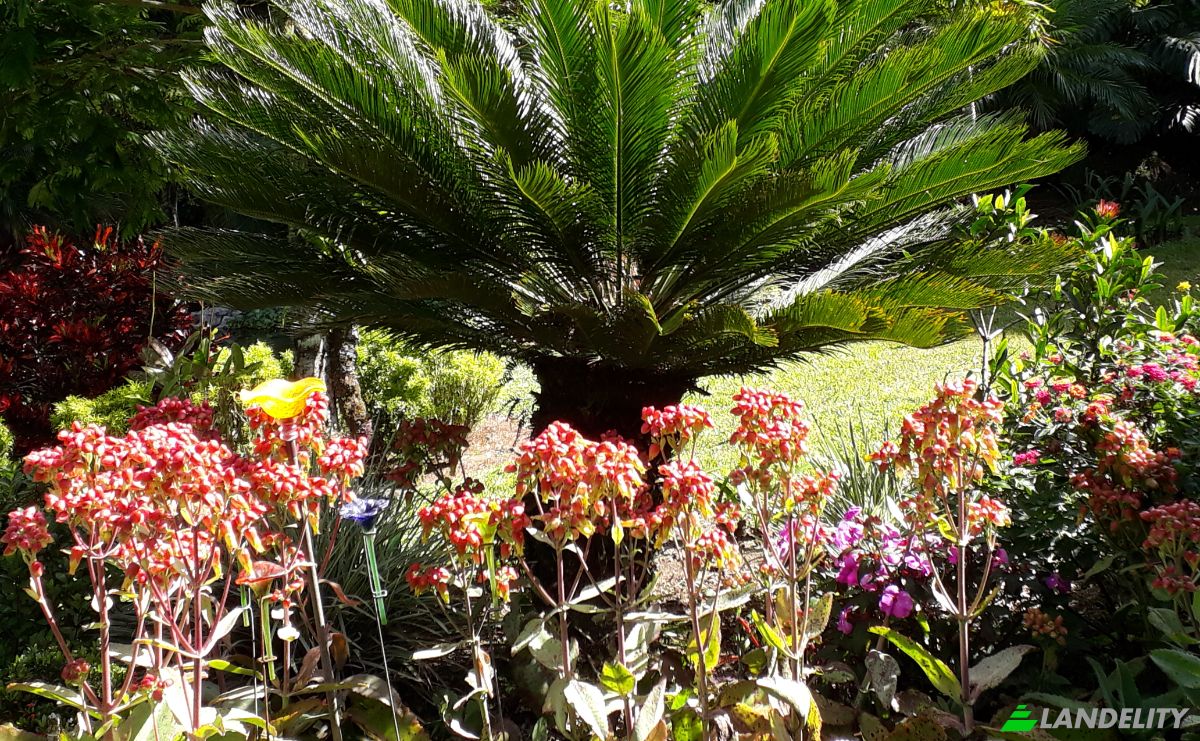 Single Family Home for Sale Provincia de Cartago, Cartago, Cartago Province, Costa Rica, Muneco. Photo 21