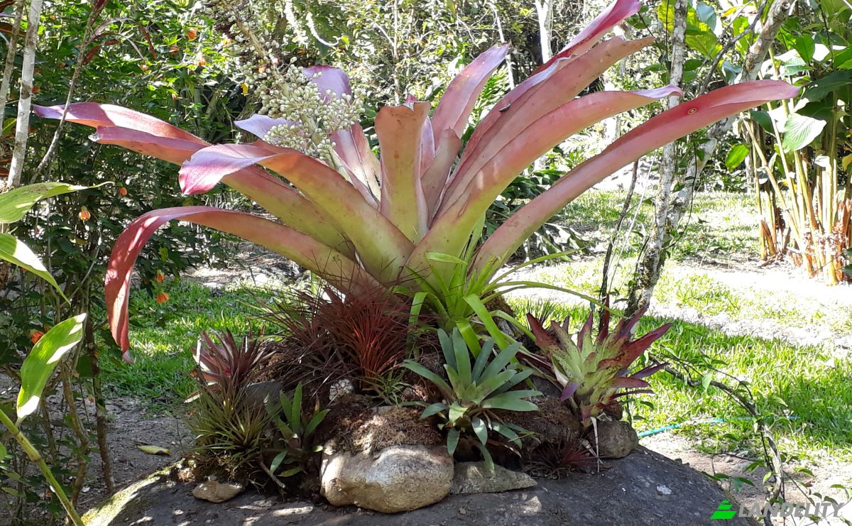Single Family Home for Sale Provincia de Cartago, Cartago, Cartago Province, Costa Rica, Muneco. Photo 22
