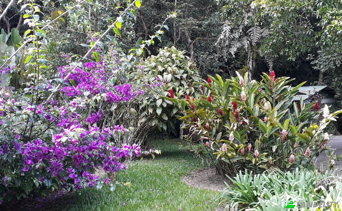 Single Family Home for Sale Provincia de Cartago, Cartago, Cartago Province, Costa Rica, Muneco. Photo 24