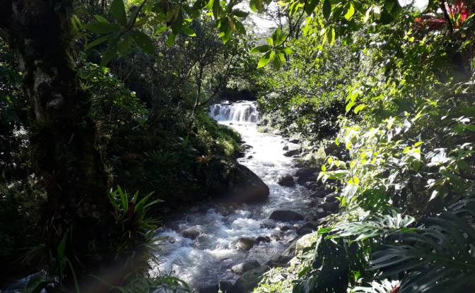 Single Family Home for Sale Provincia de Cartago. Photo#2