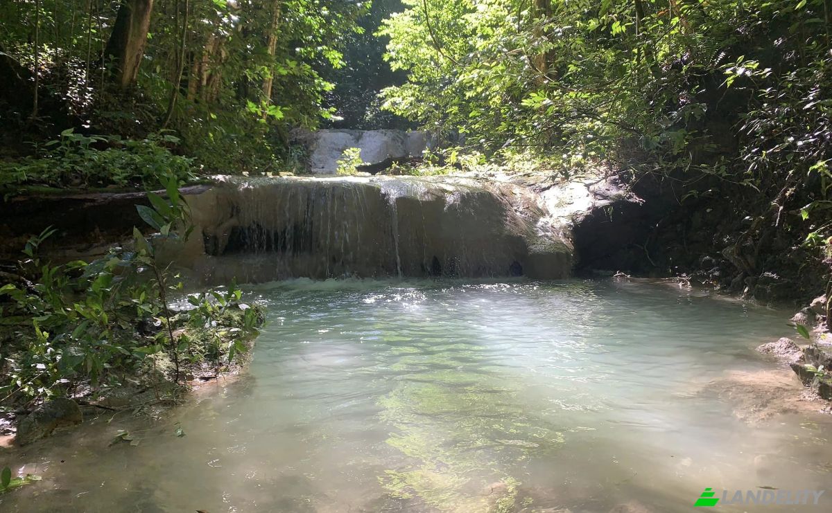 Investimento/Desenvolvimento à venda 56000, Jamao al Norte, Espaillat Province, Dominican Republic. foto 2