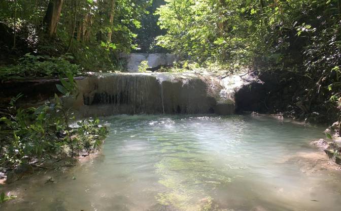 Investimento/Desenvolvimento à venda 56000. foto#2