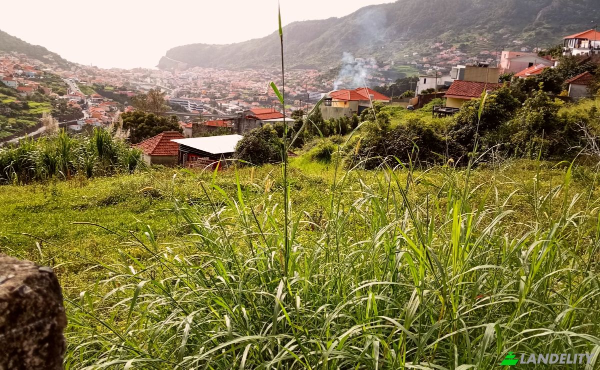 Land Lot for Sale Estr da Ribeira Seca, Machico, Madeira, Portugal. Photo 2