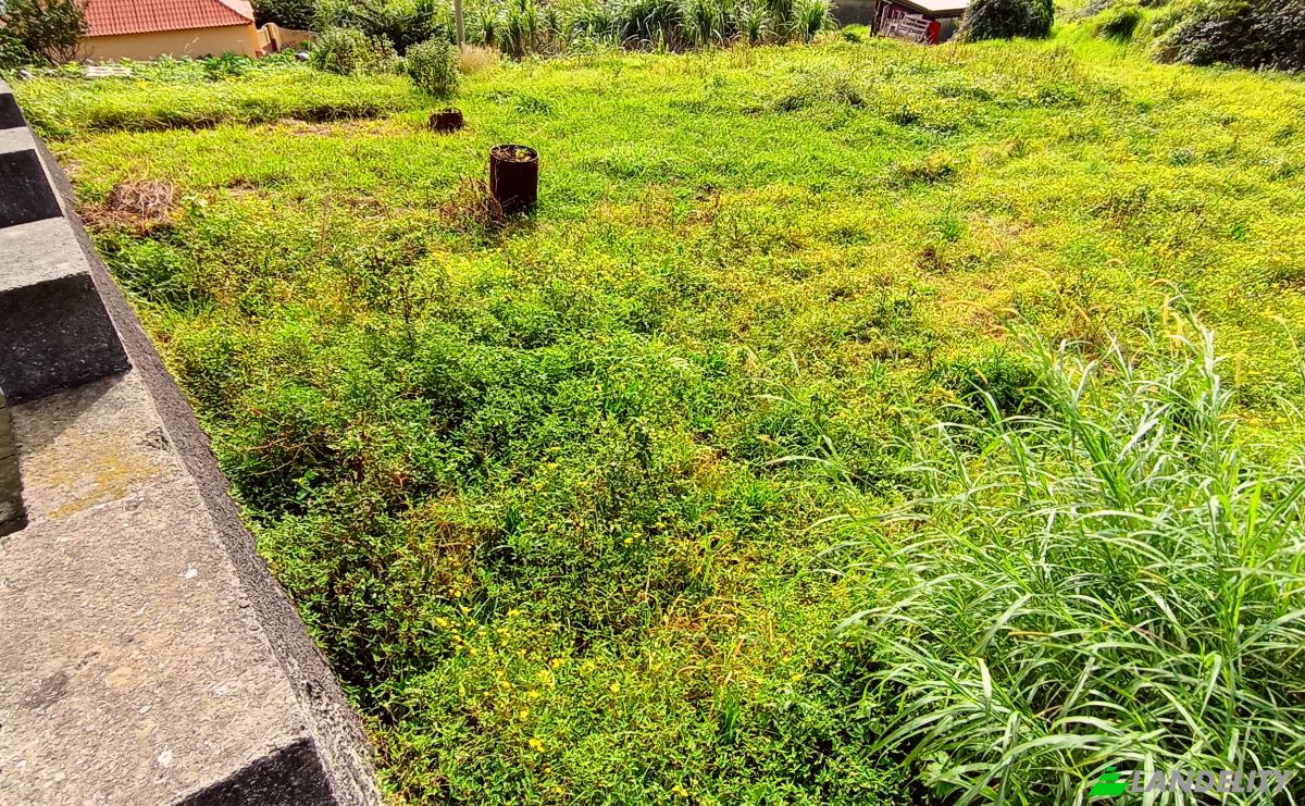 Land Lot for Sale Estr da Ribeira Seca, Machico, Madeira, Portugal. Photo 3