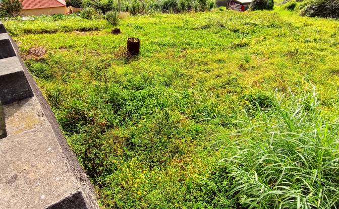 Land Lot for Sale Estr da Ribeira Seca, Machico. Photo#3 Land Lot for Sale Estr da Ribeira Seca, Machico. Photo#3