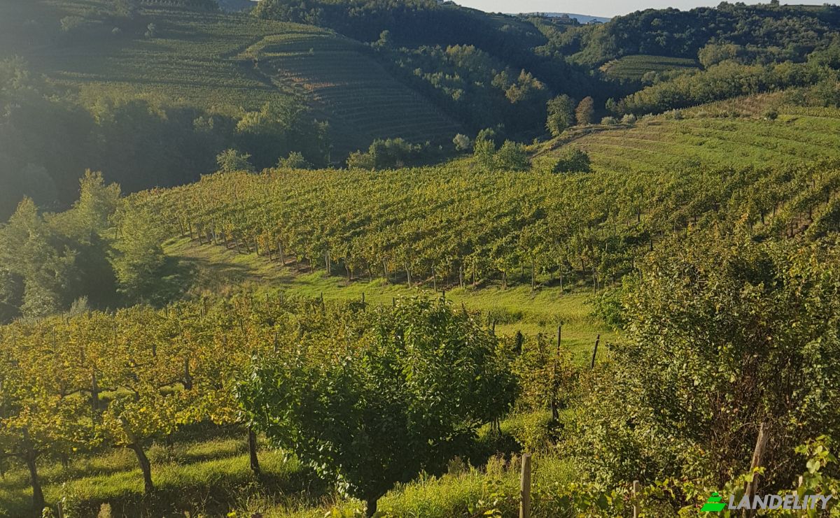 Eengezinswoning Te koop Fojana, Municipality of Brda, Nova Gorica, Slovenia, Dobrovo v Brdih. Foto 3