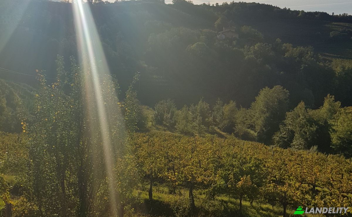 Eengezinswoning Te koop Fojana, Municipality of Brda, Nova Gorica, Slovenia, Dobrovo v Brdih. Foto 4