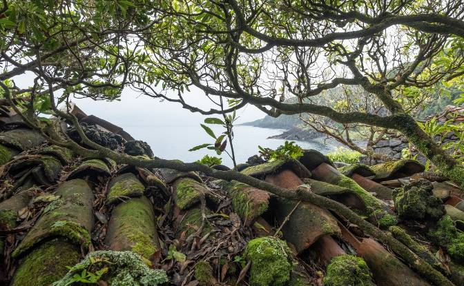 Land Lot for Sale Prainha de Cima. Photo#7