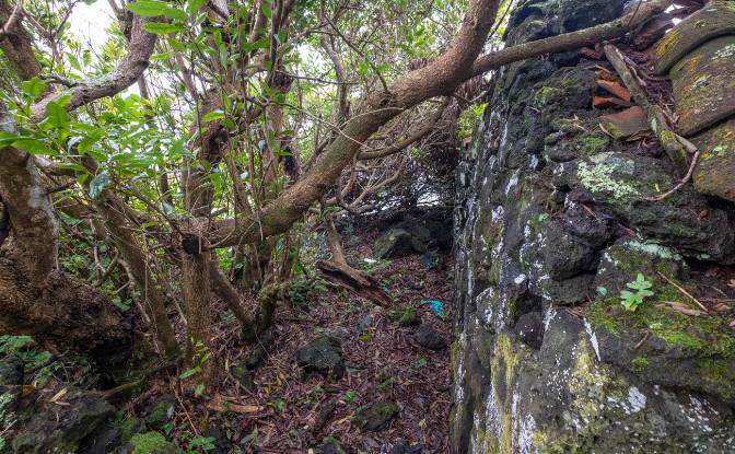 Land Lot for Sale Prainha de Cima. Photo#8