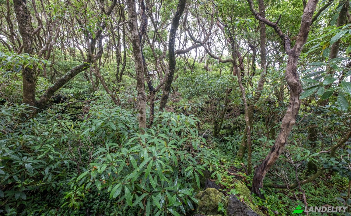 Land Lot for Sale Prainha de Cima, Sao Roque do Pico, Azores, Portugal. Photo 5
