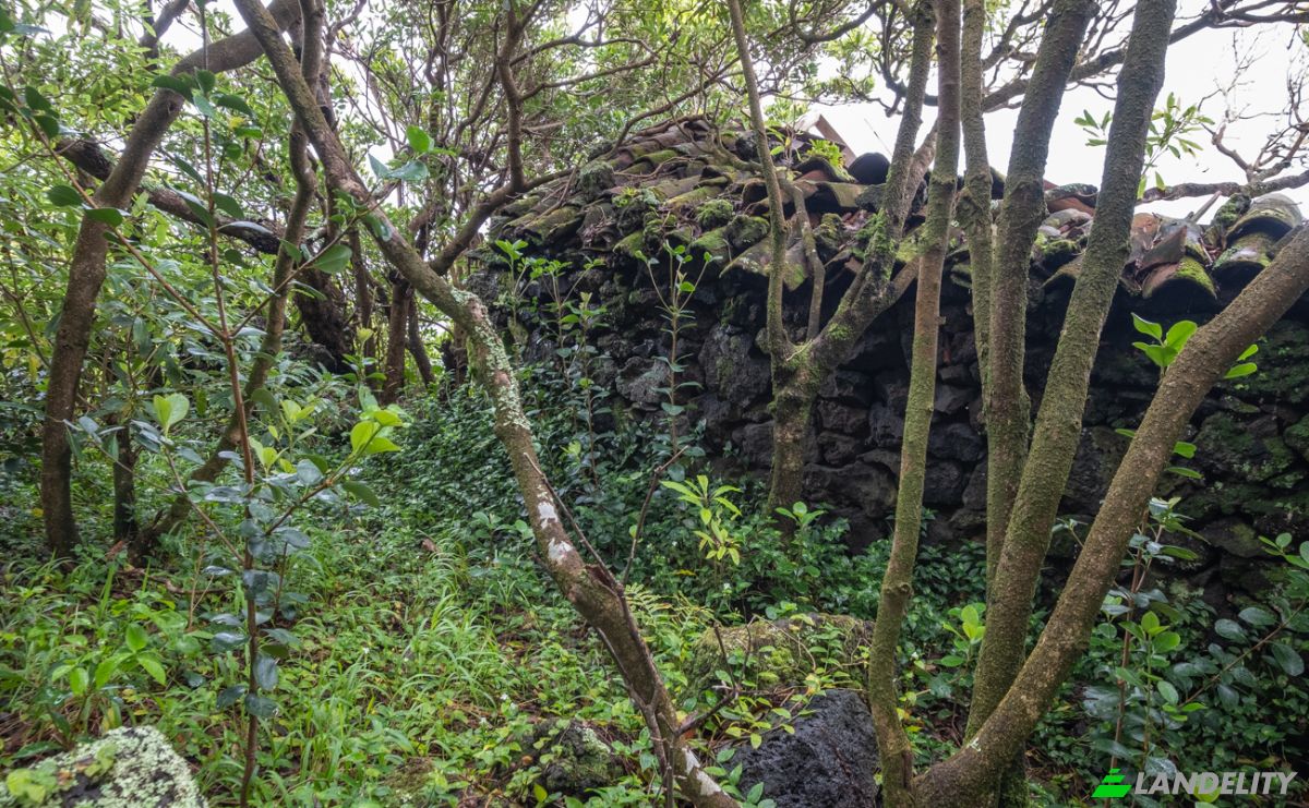 Land Lot for Sale Prainha de Cima, Sao Roque do Pico, Azores, Portugal. Photo 6