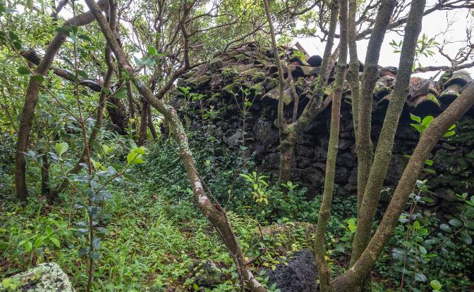 Land Lot for Sale Prainha de Cima. Photo#6