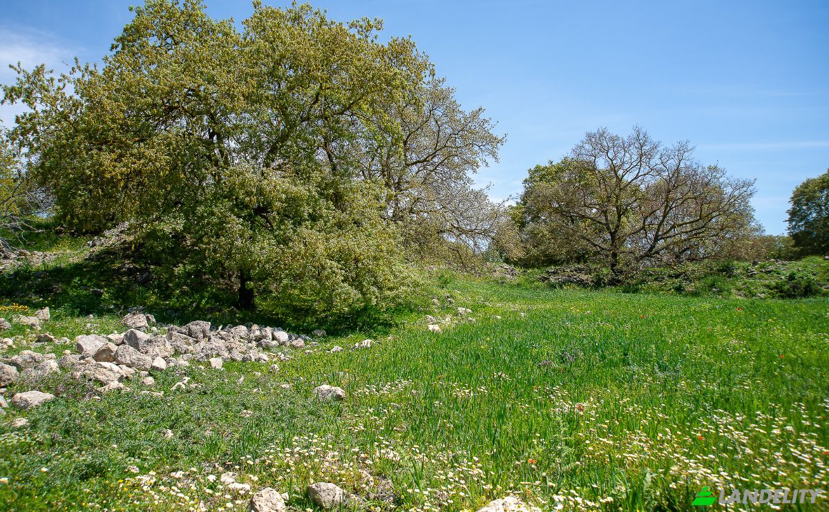 Einfamilienhaus zu verkaufen Pirouniana, Crete, Decentralized Administration of Crete, Greece. Foto 23