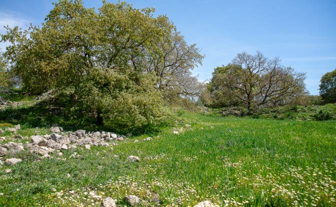 Einfamilienhaus zu verkaufen Pirouniana, Crete. Foto#23
