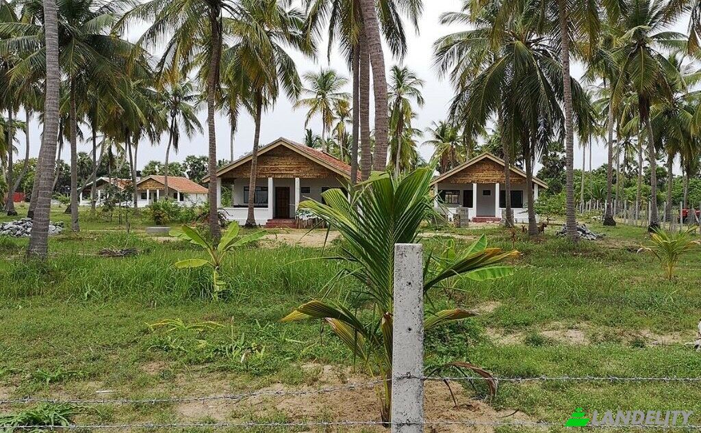 Land Lot for Sale Kayankerni, Batticaloa, Eastern Province, Sri Lanka. Photo 1