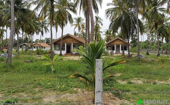 Land Lot for Sale - Kayankerni, Sri Lanka