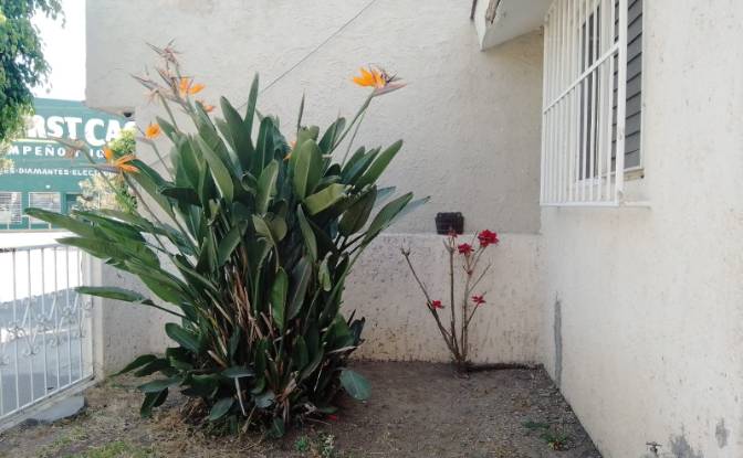 Single Family Home for Sale C P de Los Almendros. Photo#2 Single Family Home for Sale C P de Los Almendros. Photo#2
