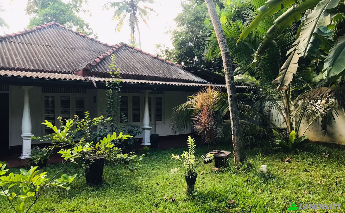 Single Family Home for Sale Hikkaduwa, Galle, Southern Province, Sri Lanka. Photo 3