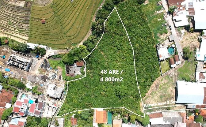 Land Lot for Rent Mengwi, Pererenan. Photo#2