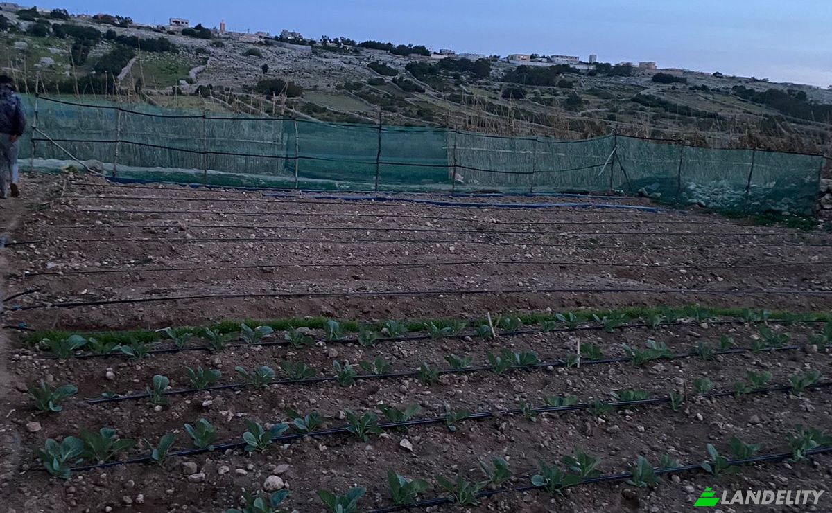 Lote de terreno à venda Ouled Salem, El Jadida, Casablanca-Settat, Morocco. foto 1
