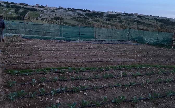 Land Lot for Sale - Ouled Salem, Morocco